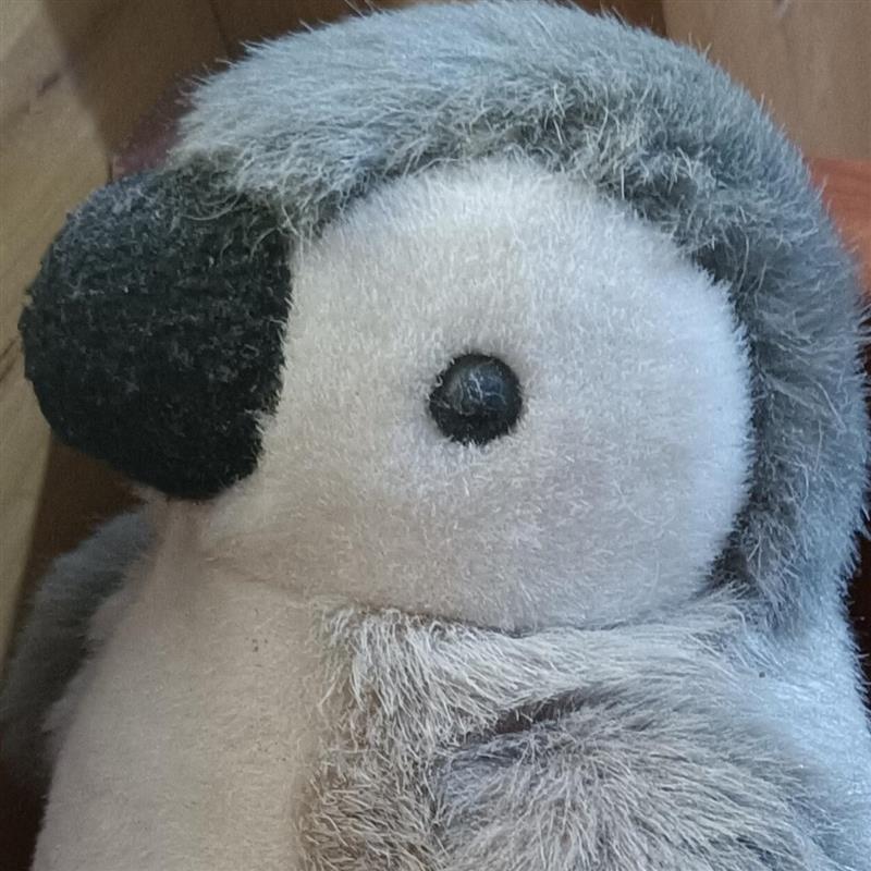 If one day i dont have to submit my resume anywhere but throw the link of this website, i am completely carefree at that time.